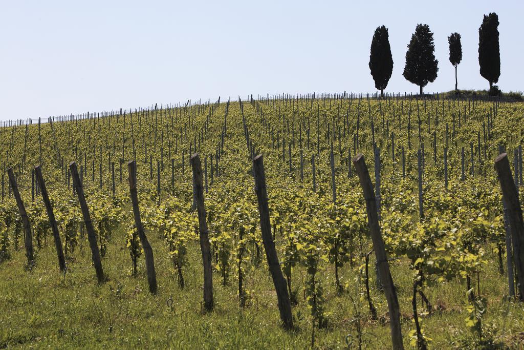 Le Buche Wine Resort&Spa Macciano Exterior photo